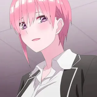 🦊 telegram sticker