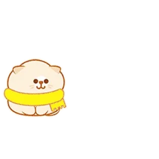 ⭐ kat, schattig, dier, sjaal whatsapp sticker