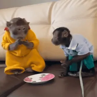 Monkey Power! | by @omashune 🙈 whatsapp stickers