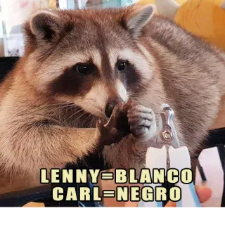🏁 LENNY=BLANCO
CARL=NEGRO rakun, bahasa Spanyol, humor, meme whatsapp sticker