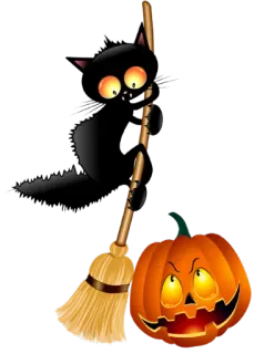 😳 halloween, kot, dynia, miotła, święto, straszny telegram sticker