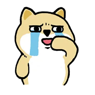 😭 哭, 狗, 难过, 表情符号, 柴犬, 卡通 whatsapp sticker