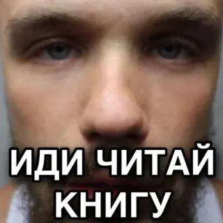 📖 ИДИ ЧИТАЙ КНИГУ reading, book, russian, culture, education telegram sticker