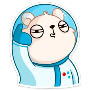 🧐 gấu, phi hành gia, vũ trụ, hoạt hình, nhãn dán, động vật telegram sticker