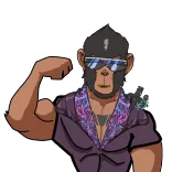 💪 scimmia, scimmia antropomorfa, occhiali, flettere, cartone animato telegram sticker