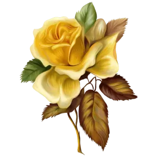 🌖 flower, yellow rose, rose, floral, plant telegram sticker