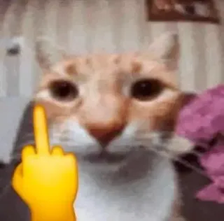 🙄 고양이, 가운데 손가락, 이모지, 불쾌한, 제스처 telegram sticker