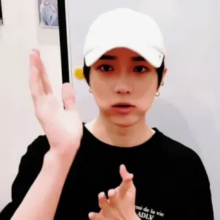 🐻 whatsapp sticker