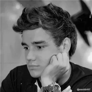 🥀 Liam Payne Liam Payne, One Direction, cantante, retrato, celebridad telegram sticker