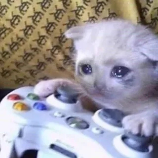 👾 새끼 고양이, 고양이, 게임, 슬픈, 컨트롤러, 귀여운, 동물 telegram sticker