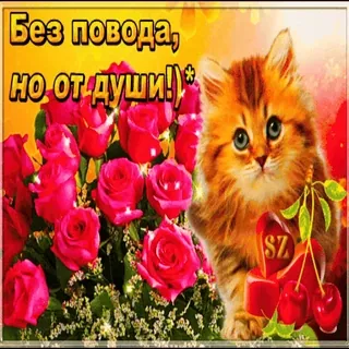 😸 Без повода, но от души! whatsapp sticker