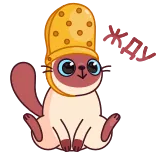🫥 gato, animal, desenho animado, fofo, adesivo whatsapp sticker