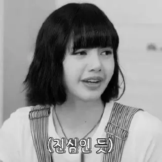 🌟  (진심인 듯) kpop, lisa, blackpink, koreański, dziewczyna, mem telegram sticker