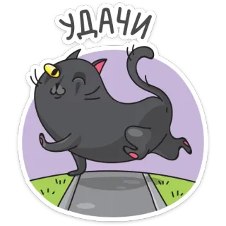 😉 УДАЧИ gato, suerte, dibujos animados, pegatina, ruso, saludo, buena suerte telegram sticker