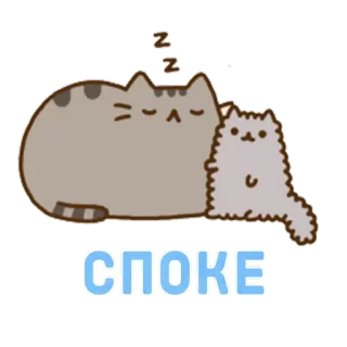 💤 СПОКЕ кот, коты, милый, спящий, сон, русский, серый, спица whatsapp sticker