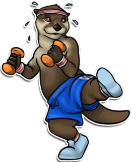 🏃 berang-berang, kebugaran, olahraga, dumbbell, kartun, binatang, berkeringat whatsapp sticker