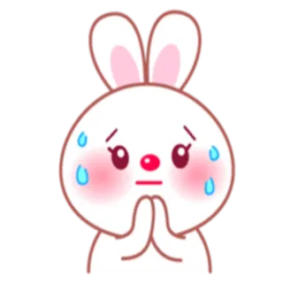 🙏 rabbit, cute, bunny, animal, kawaii, sticker, cartoon, pleading whatsapp sticker