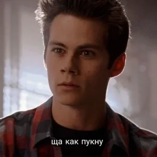 🦊 ща как пукну telegram sticker