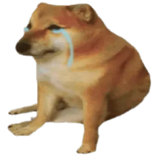 😭 Cheems doge, perro, llorando, meme, cheems, triste telegram sticker
