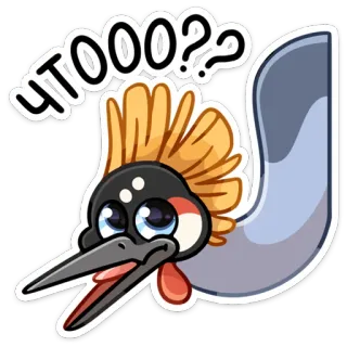 🤨 ЧТООО?? pájaro, grulla, pregunta, sorprendido, dibujos animados, pegatina telegram sticker