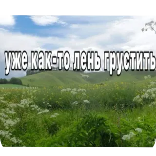 🌾 уже как-то лень грустить 풍경, 텍스트, 러시아어, 자연, 들판 telegram sticker