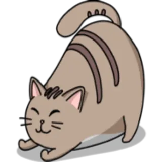 🙃 gatto, carino, animale, cartone animato, animale domestico, giocoso whatsapp sticker