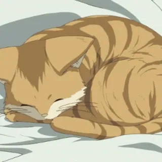 💤 chat, dormir, animal, mignon, domestique, animal de compagnie whatsapp sticker
