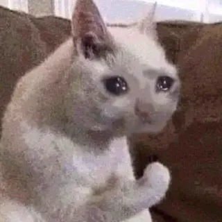 😭 chat, mème, doigt d'honneur telegram sticker