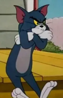 🔗 Tom Cat Tom and Jerry phim hoạt hình, mèo, giận dữ, Tom và Jerry telegram sticker