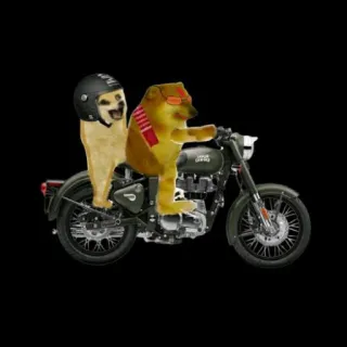 🏍 doge, hond, motor, meme, helm, dier telegram sticker