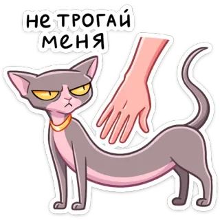 😡 НЕТРОГАЙ МЕНЯ Katze, Aufkleber, Cartoon, Sphinx Katze, Nicht berühren, Warnung whatsapp sticker