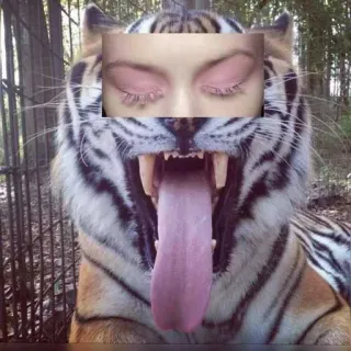 😁 tiger, yawning, eyes, surreal, photomontage, animal, big cat telegram sticker
