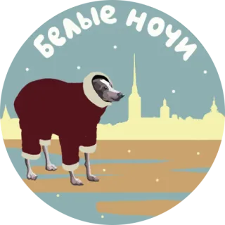 ⚪ Белые ночи noites brancas, cachorro, paisagem urbana, Rússia, São Petersburgo, aurora boreal telegram sticker