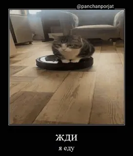😾 Жди
Я еду cat, robot vacuum, funny, waiting, russian, meme telegram sticker