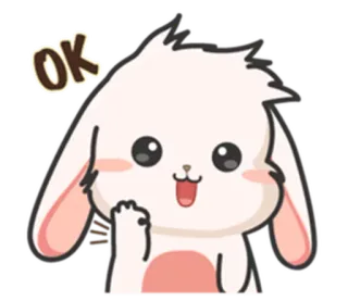 ⚪️ OK carino, coniglio, coniglio, animale, ok telegram sticker