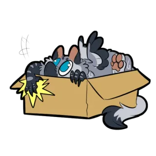 📦 gato, caixa, gatinho, fofo, desenho animado, animal telegram sticker