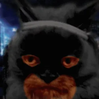 😐 gato preto, assustador, gato, animal, adesivo telegram sticker