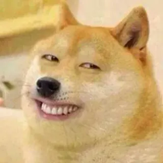 GÀRøÙs kang pack whatsapp stickers