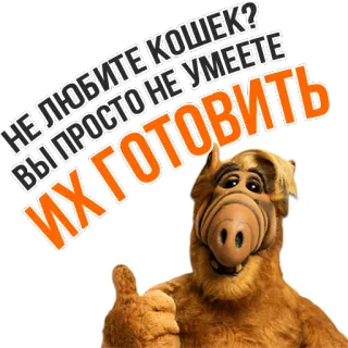 🙀 ALF НЕ ЛЮБИТЕ КОШЕК?
ВЫ ПРОСТО НЕ УМЕЕТЕ
ИХ ГОТОВИТЬ Alf, gato, cozinhar, alienígena, sitcom, engraçado, russo, polegar para cima telegram sticker