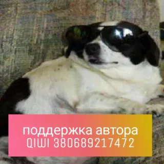 🍒 поддержка автора
QIWI 380689217472 cane, occhiali da sole, QIWI, supporto, autore whatsapp sticker