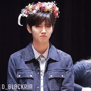 ✨ D_BLACKRIN kpop, idol, person, blumenkranz, schauspieler, sänger, promi, porträt telegram sticker