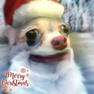 🎅 Merry Christmas christmas, holidays, celebration, winter, dog, santa claus telegram sticker