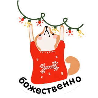 😮 божественно dog, sweater, lights, christmas, festive, shiba inu telegram sticker