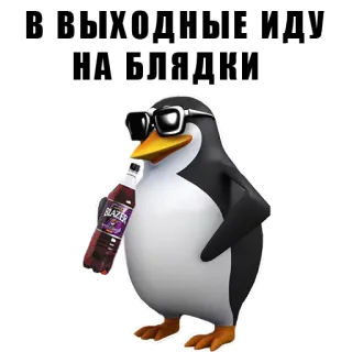🍹 BLAZER пингвин, солнцезащитные очки, напиток, животное, птица telegram sticker