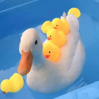 🦆 duck, rubber ducky, baby ducks, pool, swimming whatsapp sticker