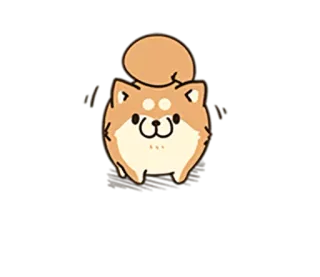 🐶 Hund, Shiba Inu, Welpe, Tier, süß, kawaii, Haustier telegram sticker