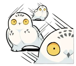 🏃‍♀ hibou, animal, oiseau, autocollant, blanc, mignon telegram sticker
