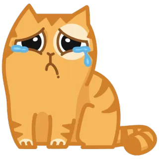 😢 kat, verdrietig, huilen, emotioneel, oranje kat whatsapp sticker