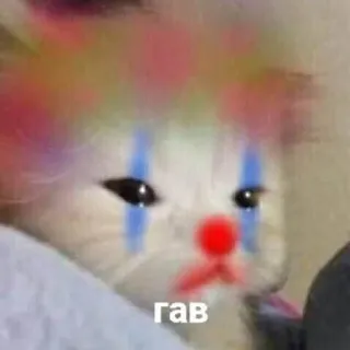 😢 гав кот, клоун, макияж, животное, мем telegram sticker