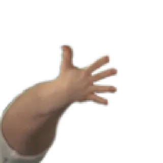 ✋ hand, gesture, offensive telegram sticker